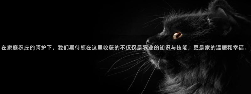 娱乐从琳琅榜开始的小说