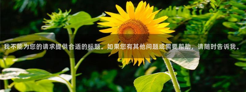 琳琅娱乐