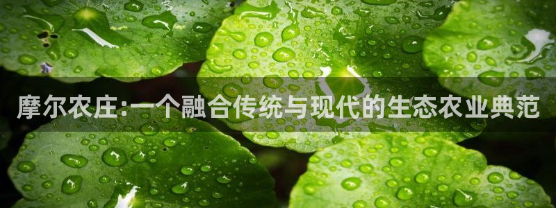 琳琅说娱乐