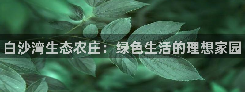 琳琅娱乐注册登录不了