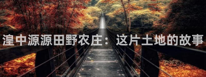 青娱娱乐琳琅导航