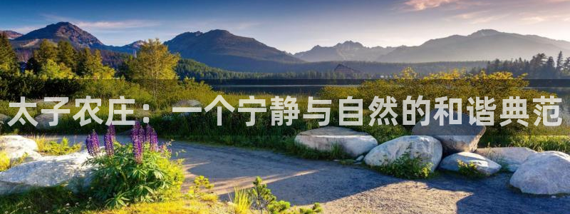 琅琳琅娱乐社区