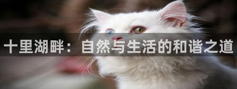 琳琅娱乐招商注册