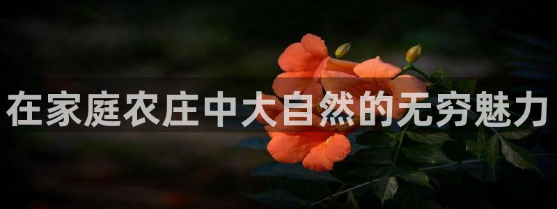 琳琅娱乐挂机