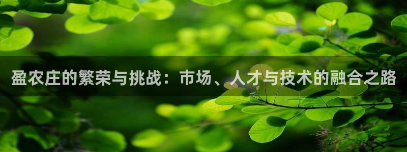 琳琅娱乐开户