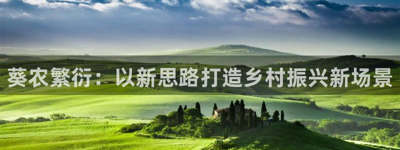 琳琅娱乐直播
