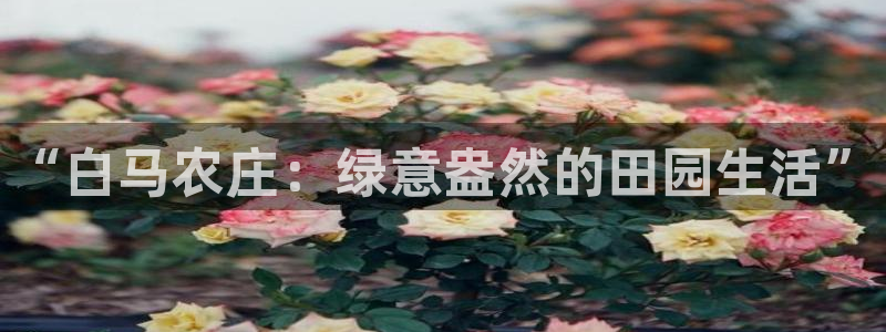 琳琅娱乐机器人