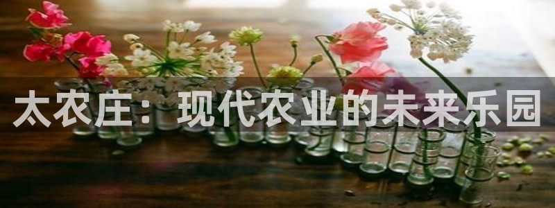 琳琅娱乐百科