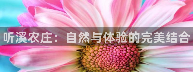 琳琅娱乐温柔乡网站