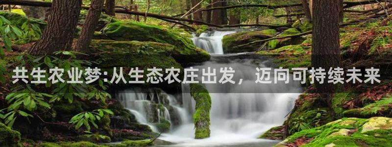 琳琅娱乐工作室怎么样啊
