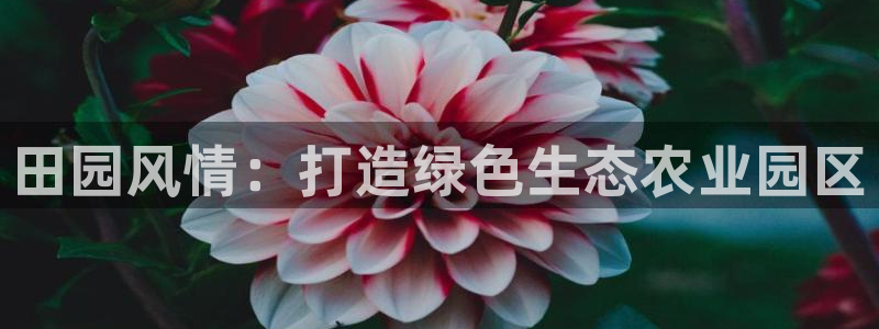 琳琅国际娱乐会所电话