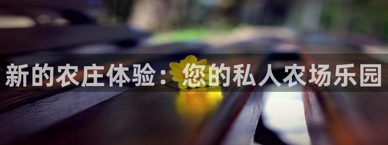 琳琅娱乐注册登录不了