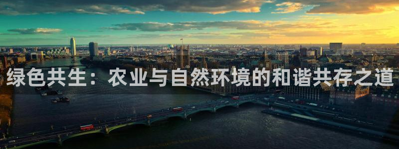 琳琅科技娱乐机器人插件