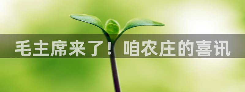 娱乐从琳琅榜开始笔趣阁