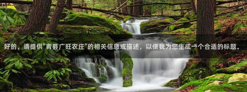 琳琅满目的娱乐设施