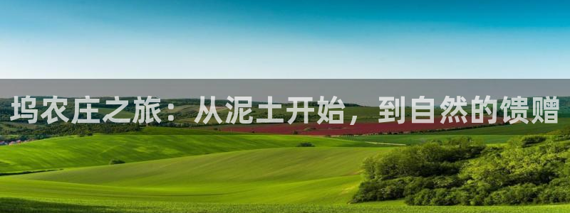 琳琅娱乐信誉33300