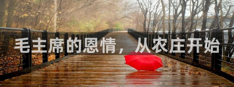 qq琳琅科技娱乐机器人