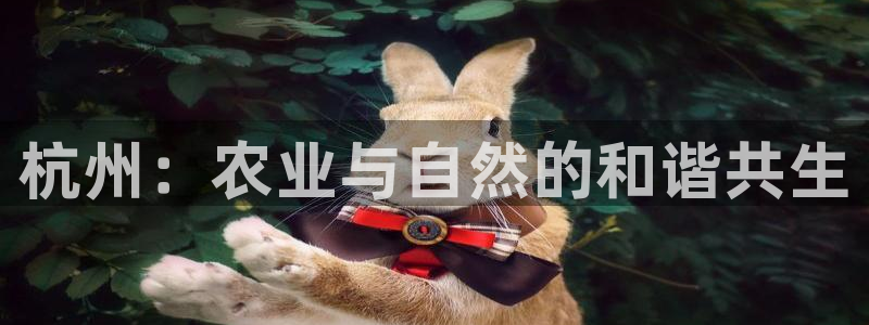 琳琅娱乐平台怎么样啊