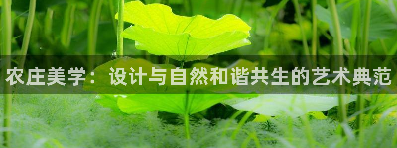 琳琅娱乐 全麦优质