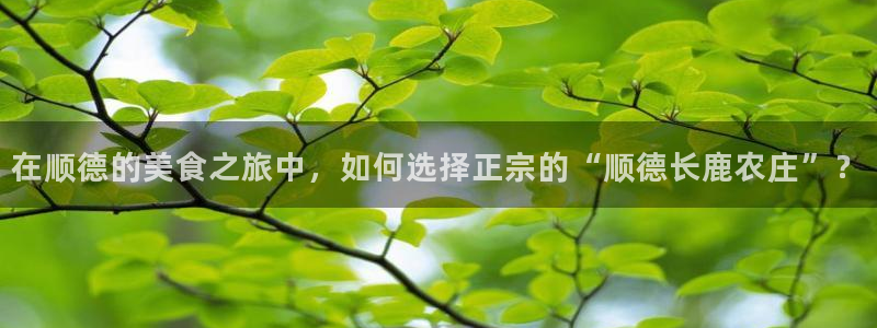 琳琅娱乐注册登录官网