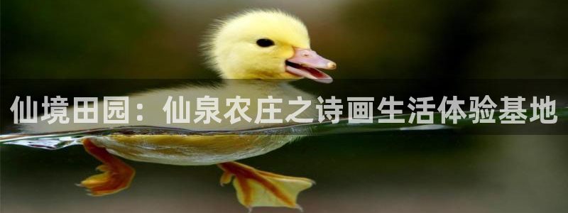 琳琅娱乐放心33300