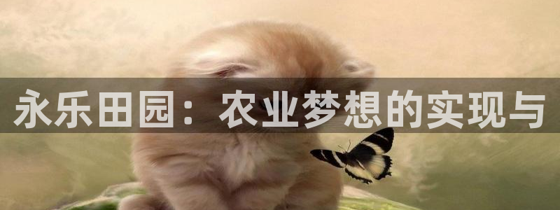 琳琅作者娱乐圈女主