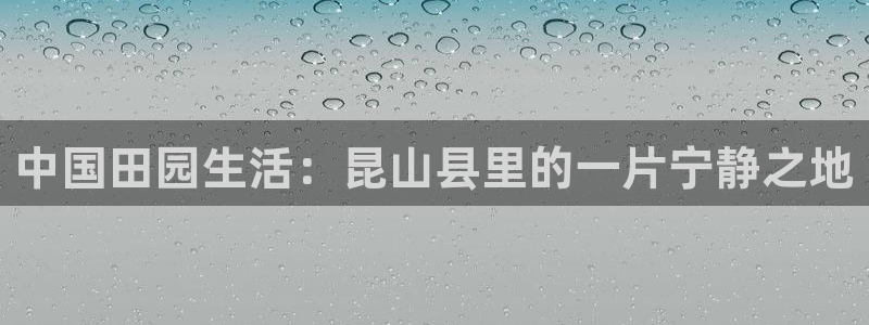 琳琅科技娱乐机器人下载
