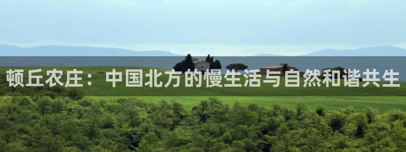 琳琅科技娱乐机器