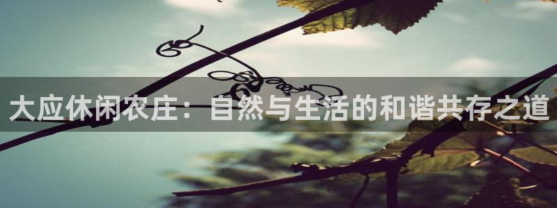 琳琅娱乐在哪直播