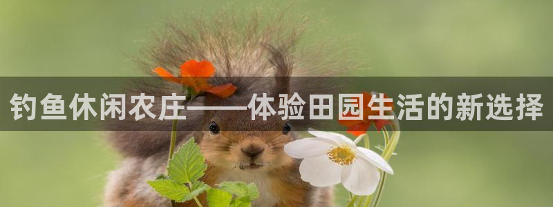 琳琅娱乐工作室怎么样