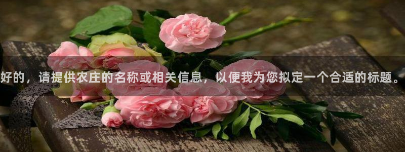 琳琅娱乐平台登陆