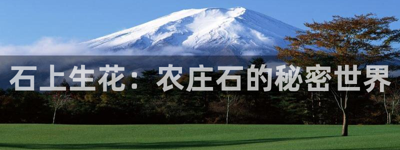 琳琅娱乐登入官网