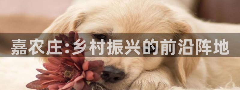 琳琅娱乐代理21192