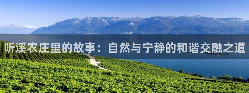 琳琅娱乐组飞车