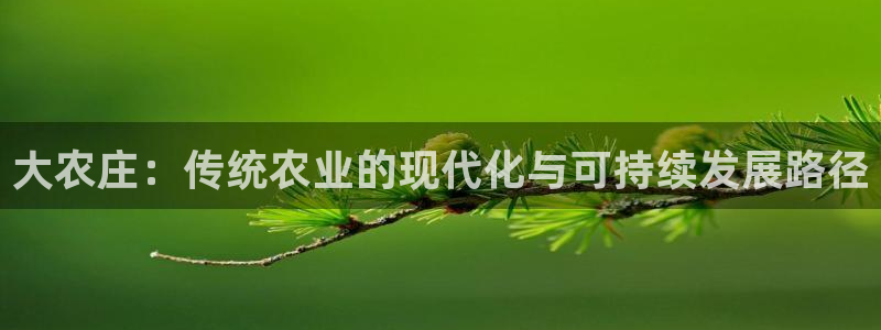 琳琅满目的娱乐设施