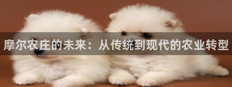 琳琅娱乐工作室招聘电话