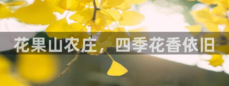 琅琳琅娱乐社区