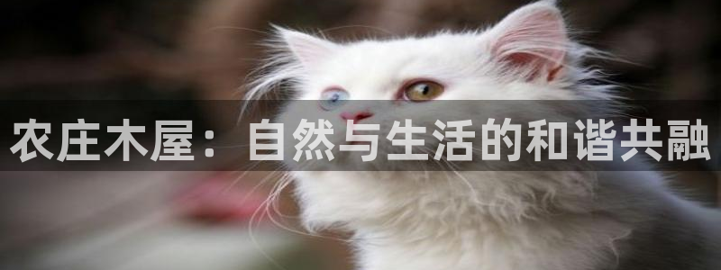 琳琅娱乐代理怎么做的