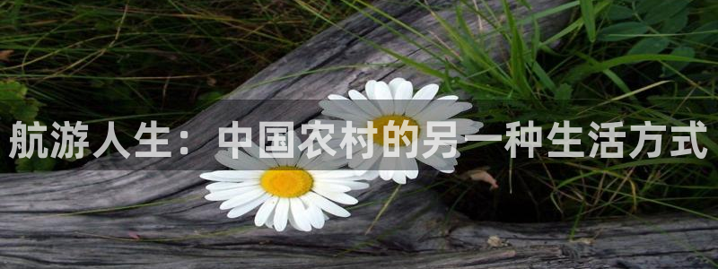 琳琅娱乐代理怎么做