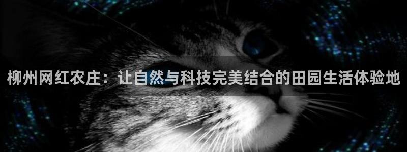 琳琅娱乐组飞车