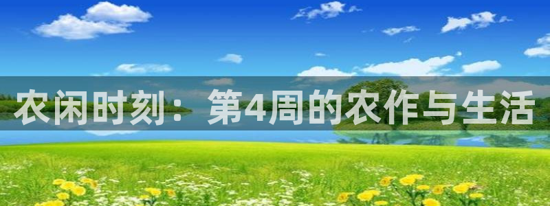 琳琅社区综艺文化娱乐