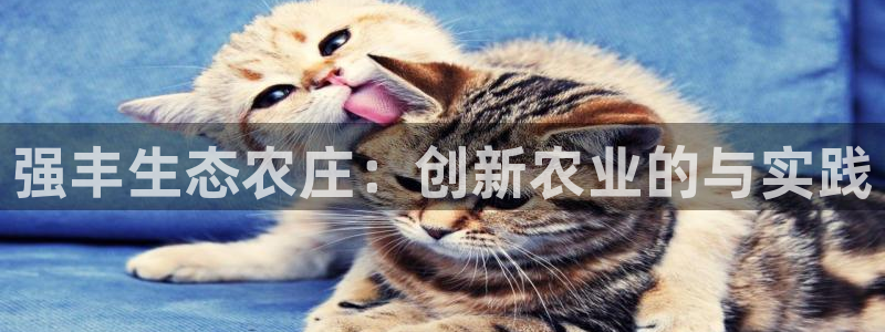 琳琅娱乐工作室招聘