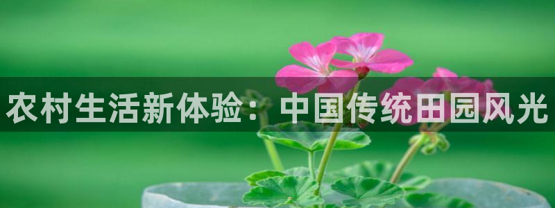 琳琅娱乐平台注册