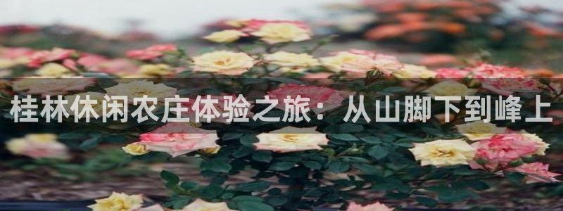 琳琅国际娱乐会所地址