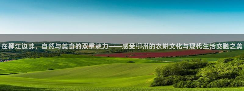 娱乐从琳琅榜开始笔趣阁