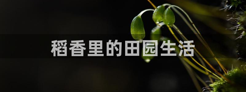 琳琅娱乐工作室