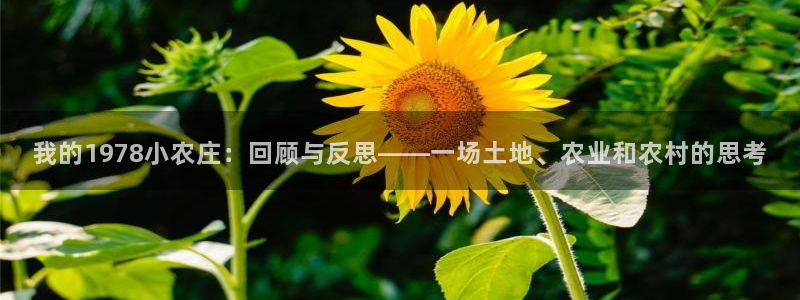 琳琅科技娱乐QQ机器人