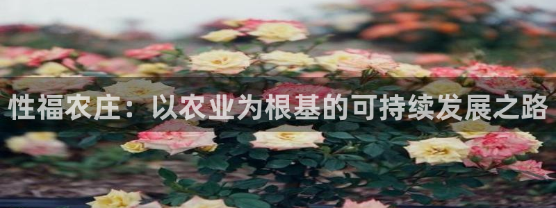 琳琅国际娱乐会所