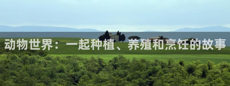 祖龙娱乐官网爱在琳琅