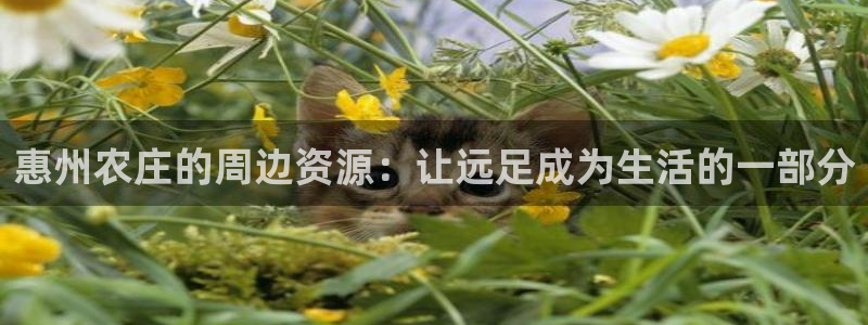 琳琅娱乐工作室地址查询